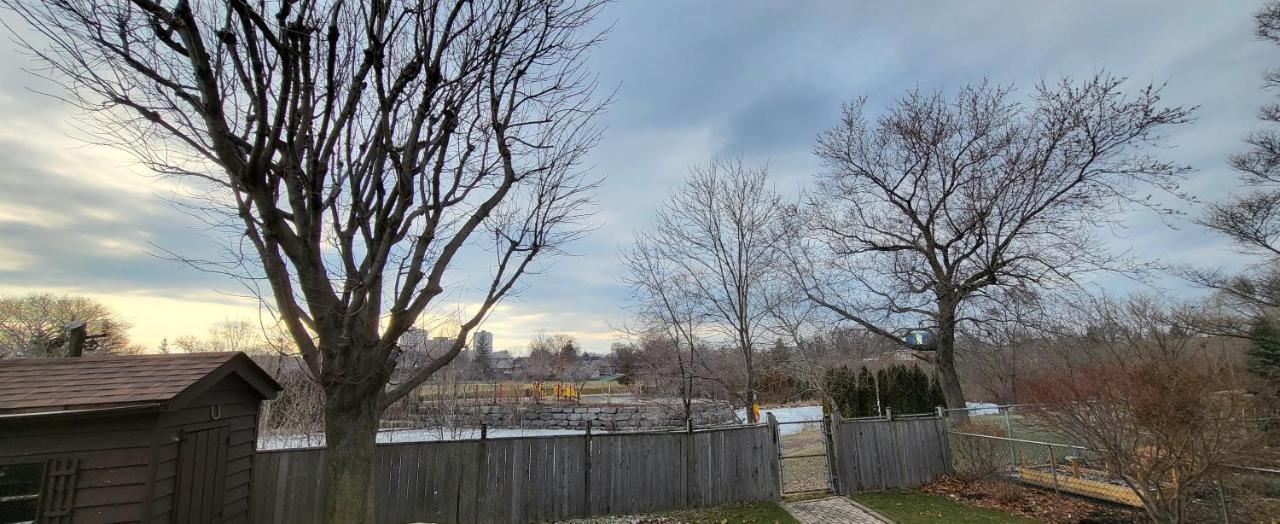 Queen Bedroom With Private Washroom Near 401, 404, Dvp, Markham, North York, Free Parking Toronto Kültér fotó